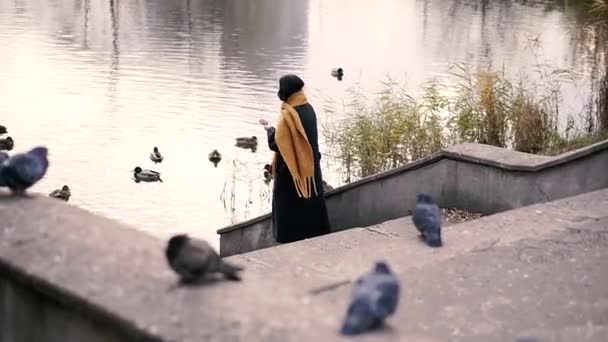 외로움 코트를 여자가 비둘기에게 먹이를 — 비디오