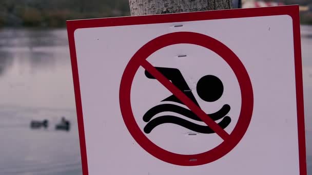 Znak Zakazu Znak Zabrania Pływania Stawie — Wideo stockowe
