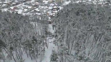 Kurye. Yiyecek teslimatçısı ormanda bisiklet sürüyor. Hava görünümü.