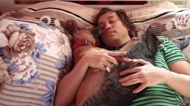 Dream Man Sleeps Bed Cat Dog — Stock Video