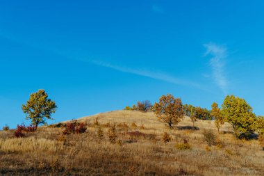 Steppe. Sonbahar sezonunda Steppe. Ukrayna. Hava görünümü.
