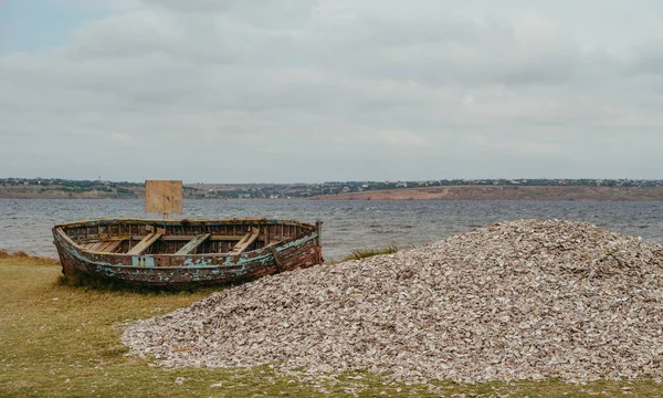 Oysters Mountain Shells Oysters Lies Bank Estuary — Stock Photo, Image