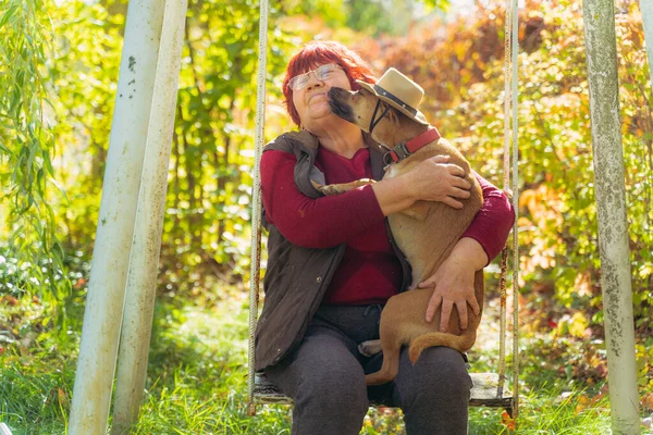 Avó Senta Balanço Das Crianças Animais Estimação Cão — Fotografia de Stock