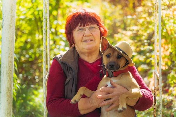 Grootmoeder Zit Een Schommel Huisdieren Een Hond — Stockfoto