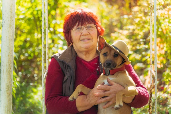 Grandmother Sits Children Swing Pets Dog — Stock Photo, Image