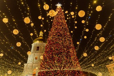 Noel ağacı. Ukrayna 'nın ana ağacı. Kiev.