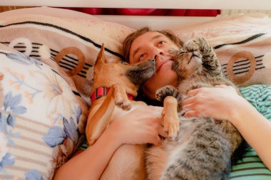 Rüya gör. Bir adam bir kedi ve bir köpekle yatakta uyur..