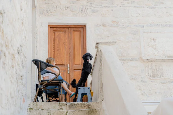 MonteneGRO, KOTOR - 16 Eylül. Köpekli bir kadın balkonda oturuyor..