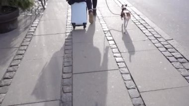 Tekerlekli bavul. Bir kadın tekerlekli bavul ve bir köpekle yürüyor..