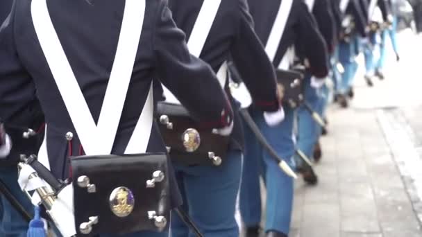 Army Royal Danish Army Overall Plan — Stok video