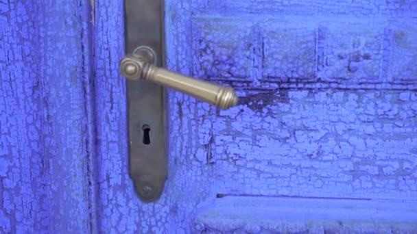 Entrance Doors Entrance Wooden Doors Close — Stockvideo