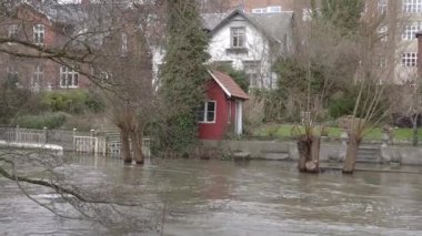 Flood. The river flows out of the channel. Denmark.