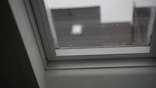 Rain Raining Window — Stockvideo
