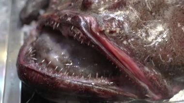 Glasses. Large sunglasses. Overall plan.