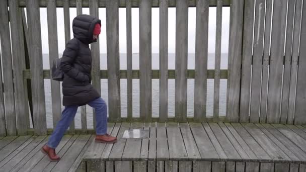 Ταξίδι Μια Γυναίκα Περπατά Στην Πόλη Της Κοπεγχάγης Δανία — Αρχείο Βίντεο