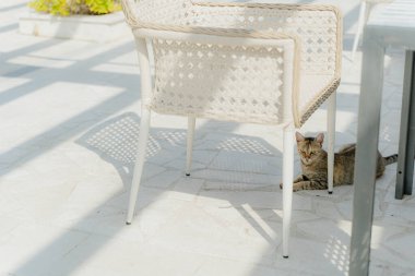 Kilitlenme. Virüs yüzünden kafelerin ve restoranların kapatılması.