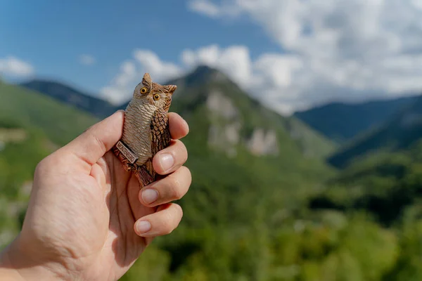 Souvenir Souvenir Shape Owl Magnet Montenegro — Stock Photo, Image