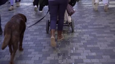 Bebek arabası. Annem bir köpek ve bebek arabasıyla şehirde dolaşıyor..