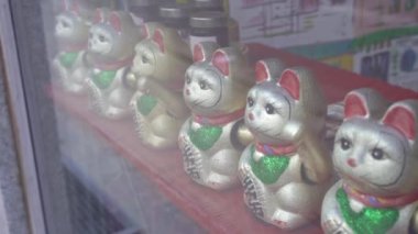 Gösteriş. Oyuncak kedilerle dolu bir vitrin.