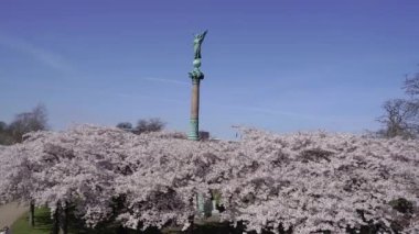 Bahar. Ağaç çiçeklerle çiçek açtı..