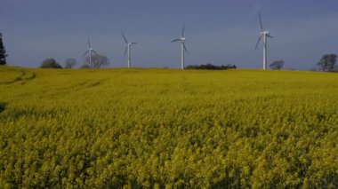 Yel değirmeni. Yel değirmenleri sahada. Genel plan.