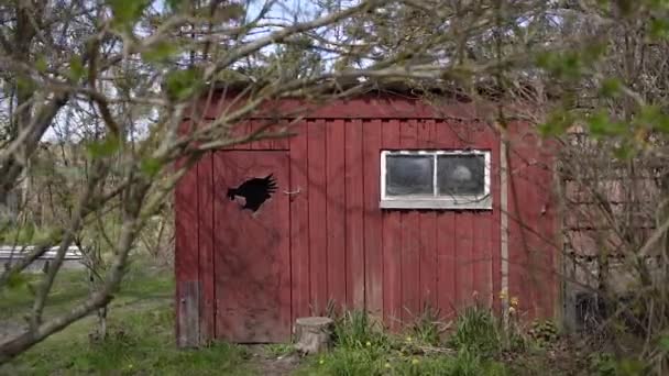 バーン 木製の小屋 スローモーションビデオ — ストック動画