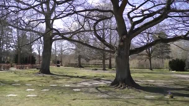 Cimetière Ancien Cimetière Dans Parc Copenhague Danemark — Video