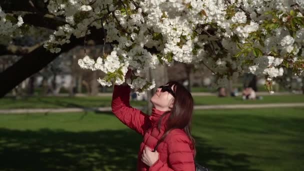 Wiosną Kobieta Spaceruje Parku Gdzie Drzewa Kwitną Kwiatami — Wideo stockowe