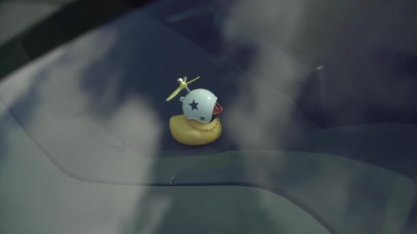 Pato Brinquedo Decora Interior Carro — Vídeo de Stock
