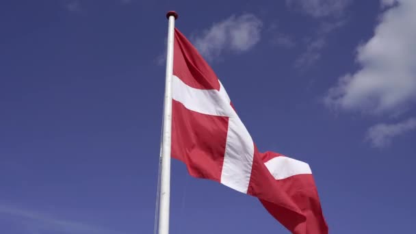 Bandeira Bandeira Reino Dinamarca Close — Vídeo de Stock