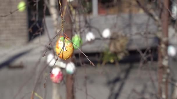 Święto Religijne Wielkanoc Pisanki Wiszą Drzewach — Wideo stockowe