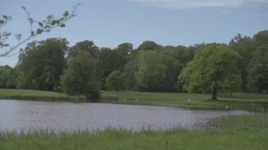 Doğa. Göl ve park yeri. Danimarka. Kopenhag.