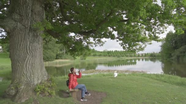 Die Natur Eine Frau Sitzt Auf Einer Bank Park Dänemark — Stockvideo
