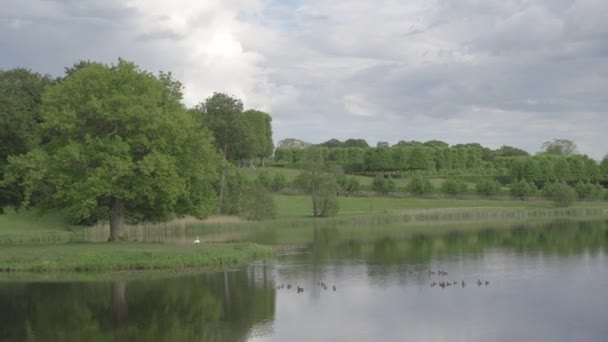 Natureza Lago Parque Dinamarca Copenhaga — Vídeo de Stock