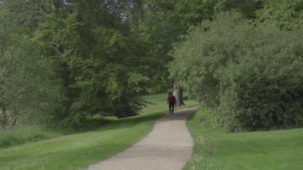 Человек Головы Человек Головы Гуляет Парку — стоковое видео