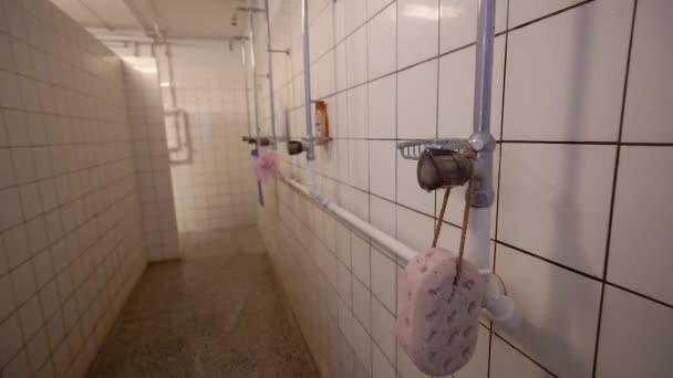 Shower Room Large Shower Room — Stock Video