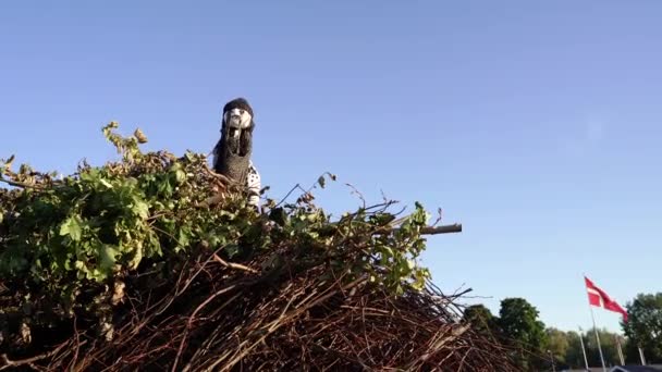 Heks Brandt Brandstapel Zonnewende Dag Vakantie — Stockvideo