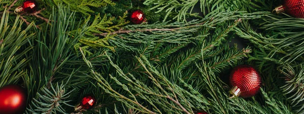 Banner Aus Immergrünen Baumzweigen Und Roten Weihnachtskugeln Winter Natur Neujahrskonzept — Stockfoto