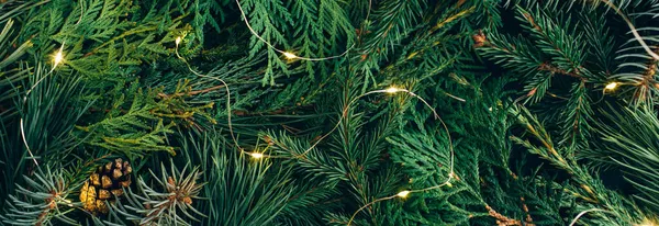 Noel ağacı dallarından yapılmış pankart ve ışıltılı noel ışıkları. Kış doğası yeni yıl konsepti. Düz konum, üst görünüm, kopyalama alanı