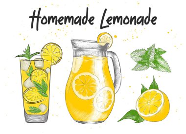 Vector engraved style Lemonade drink, carafe, glass, lemon, mint leaves illustration for posters, decoration, logo and print. Hand drawn sketch, beverage ingredients. Detailed colorful drawing.