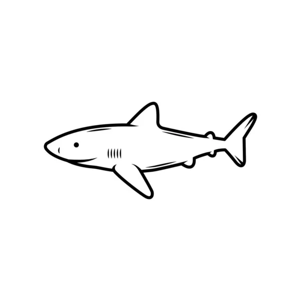 Винтажная Ретро Серфинговая Акула Можно Использовать Логотип Эмблему Значок Этикетку — стоковый вектор