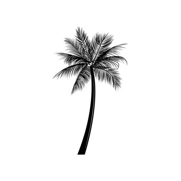 Vintage Retro Surfboom Palm Kan Gebruikt Worden Als Embleem Logo — Stockvector