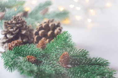 Bir Noel temasının bulanık arkaplanı. Külahlı ladin dalı ve kalp şeklinde aydınlatma. Yeni yılın temasının arka planı. Metin için boş alan.