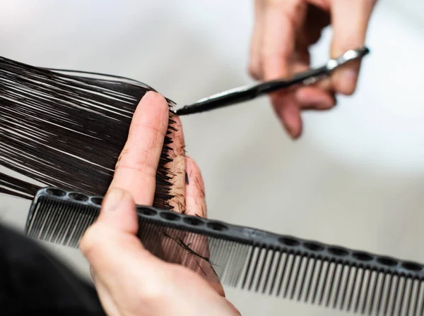 The topic of hair care. A female hairdresser cuts a client\'s hair in a beauty salon. Hairdresser\'s hands with comb, scissors and hair shown close-up.