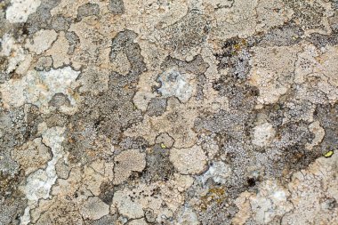 Taş yüzeyin arka planı yakın plan..