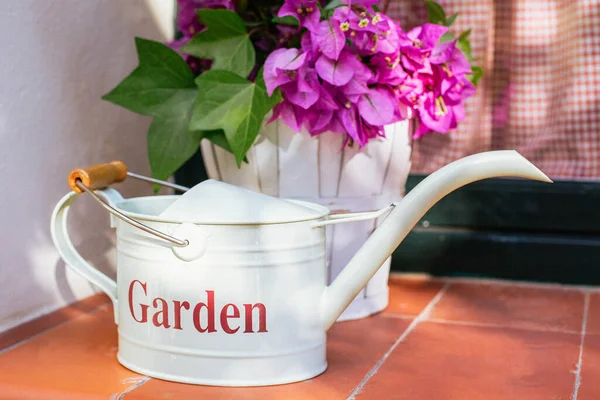 Uma Lata Rega Jardim Pote Com Belas Flores Bougainvillea Estão — Fotografia de Stock