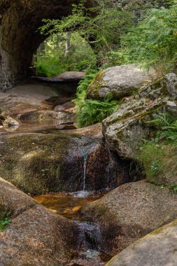 Orman manzarası. Ormanda eski bir köprü ve yeşil yoğun bitki örtüsü arasında taşların arasından akan küçük bir nehir..