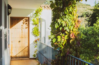 Ahşap kapılı iskan binasının terası tırmanma bitkileriyle süslenmiştir. Akdeniz şehrinin terasının manzarası.