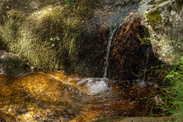 Strumień Przebiegający Przez Skały Pokryte Zielonym Mchem Naturalne Źródło Wody — Zdjęcie stockowe