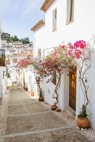 Beautiful Street Mediterranean Town Stone Paved Road Ceramic Pots Flowering — ストック写真